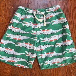 New without Tags Hanna Andersson boys swim trunks